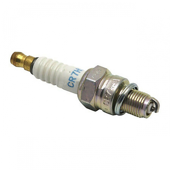 Spark plug in the group  at GPLSHOP (311419GS)