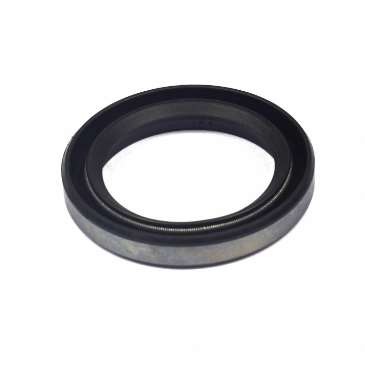 Sealing ring in the group  at GPLSHOP (391086S)