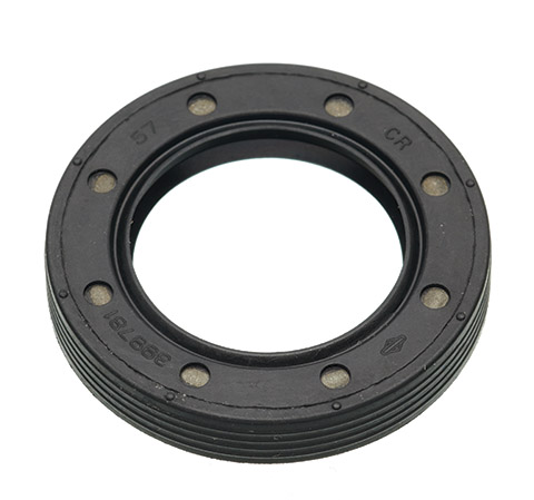 Oil seal 399781 in the group  at GPLSHOP (399781)