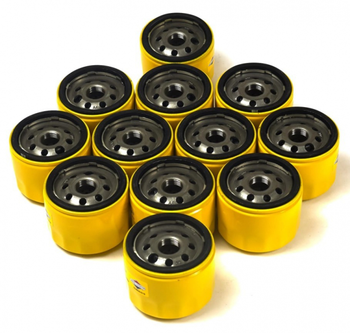 Oil filter (12 X 696854) in the group Spare Parts / Spare Parts Garden Tractors / Spare parts Husqvarna TS 238 at GPLSHOP (4206)