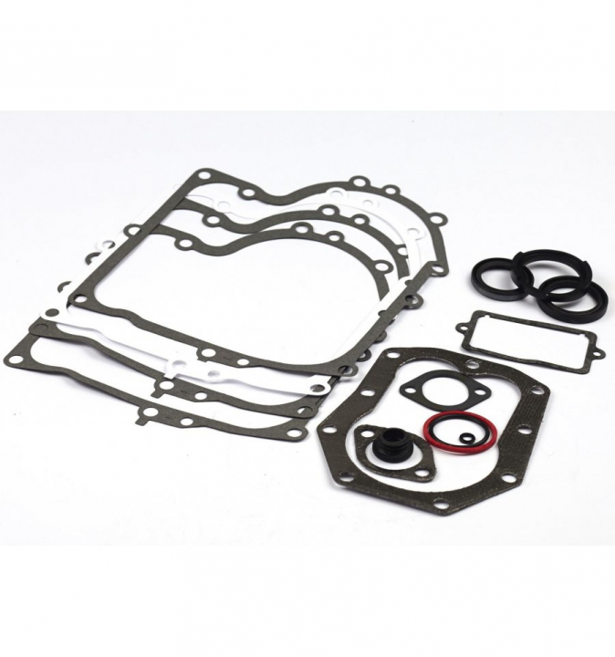 Gasket Kit 494241 in the group  at GPLSHOP (494241)