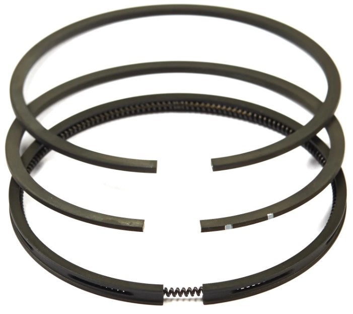 Piston Ring Set Std. in the group  at GPLSHOP (499996)