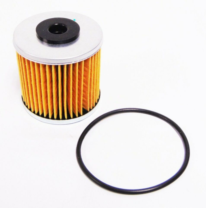 Kits, Filters in the group Spare Parts / Air Filters / Air Filter for Lawn Mower at GPLSHOP (5104385X1YP)