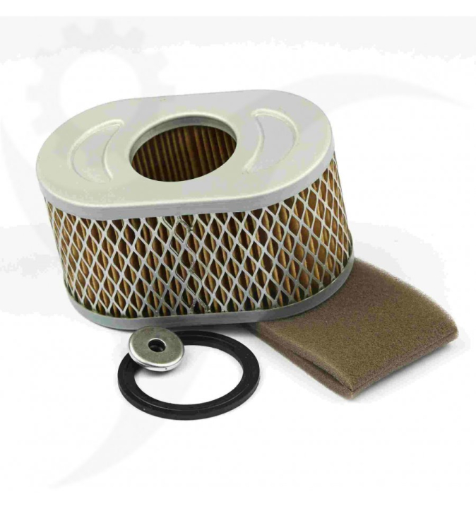 Air filter Insert in the group Spare Parts / Air Filters / Air Filter for Lawn Mower at GPLSHOP (797033)